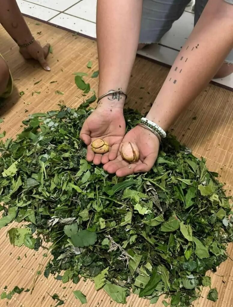 Rituel d’amour par un Marabout Africain Sérieux En France